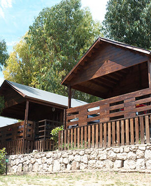 Menton fete du citron